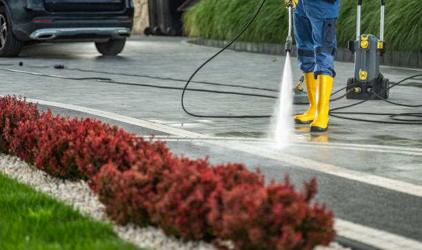 Animal Enclosure Cleaning in Burns Flat, OK